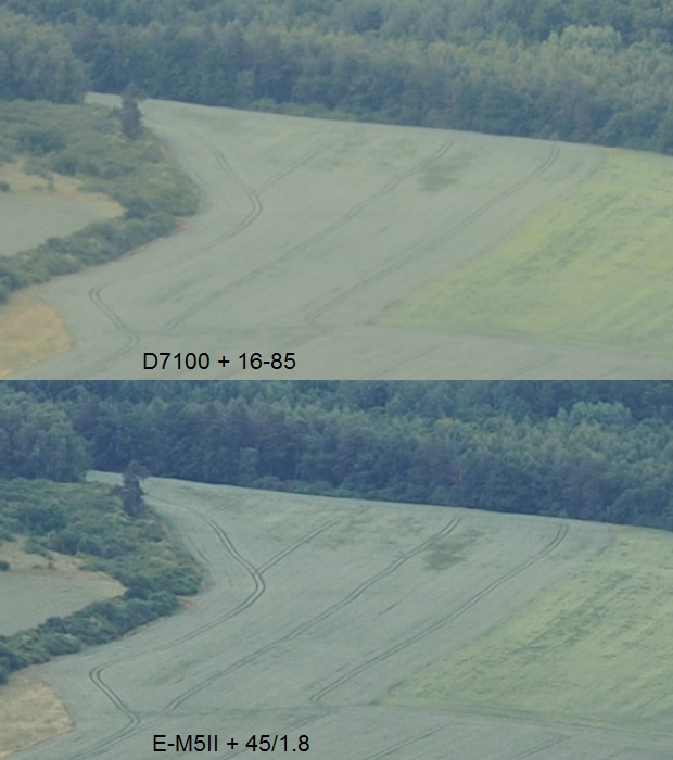 Nikon: výstup priamo z NEF RAW a Olympus: výstup z ORF RAW bez doostrenia a odšumenia