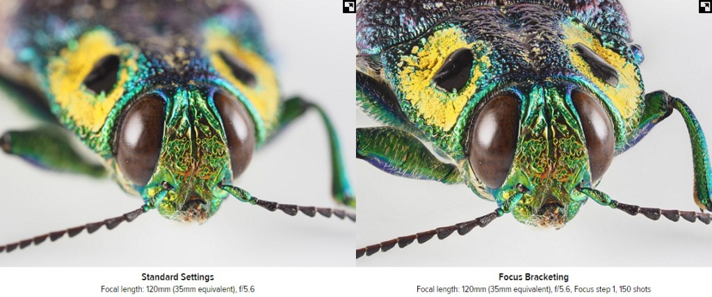 Focus stacking