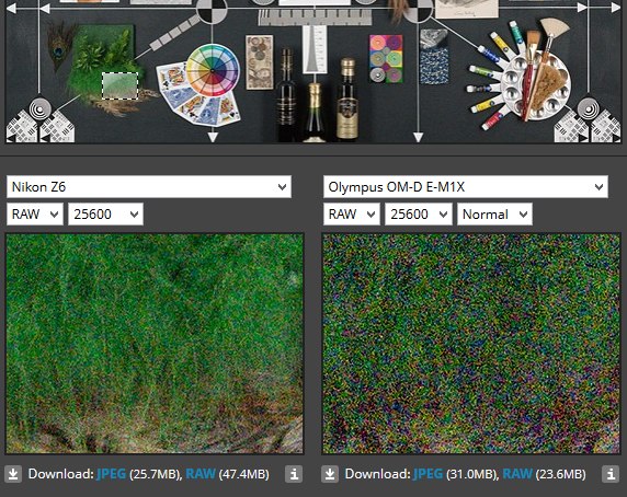 RAW porovnanie E-M1 II vs Z6 na ISO 25600